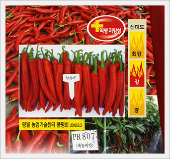 Peppers Seeds -PRJN807-